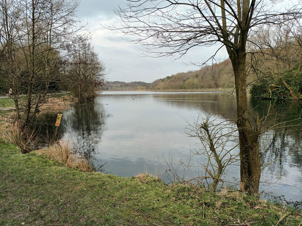 An image of Bathpool Park, an area of water surrounded by trees and grass.