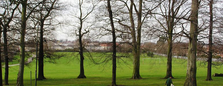 A picture of Osmaston Park, a large open grassy space framed by trees