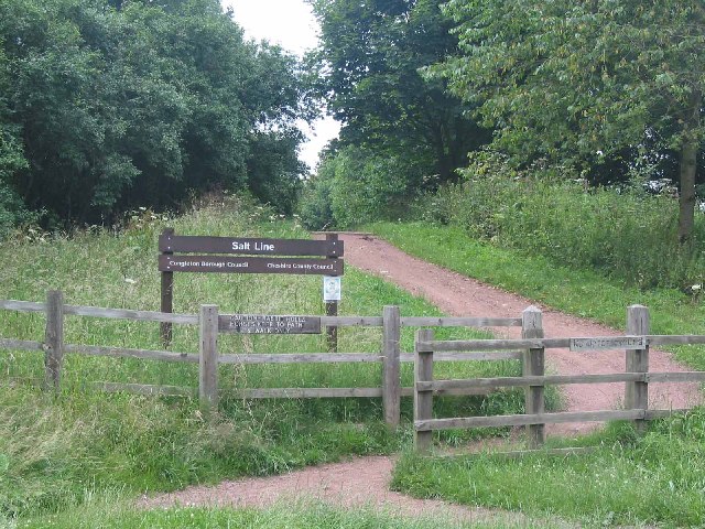 Image of a signpost to the Salt Line, a wooded area.