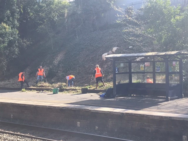 Picture showing a group of volunteers at Peartree Station getting rid of the ivy at the platform.