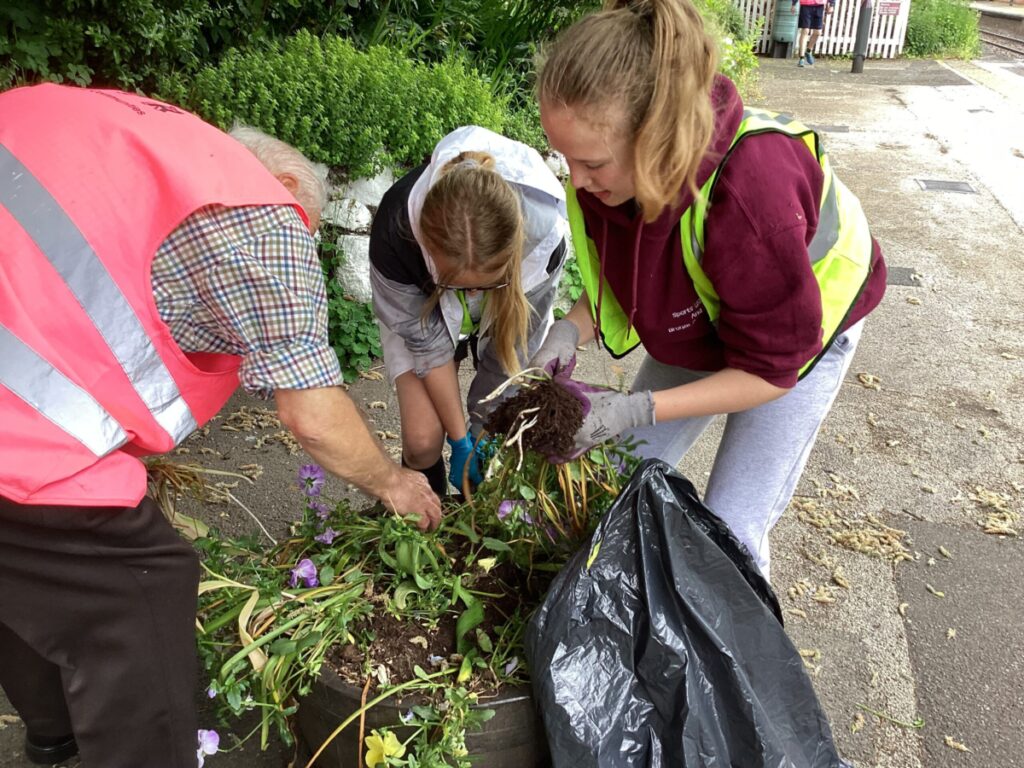 Picture showing group of people removing old plants and placing them into a rubbish bag.