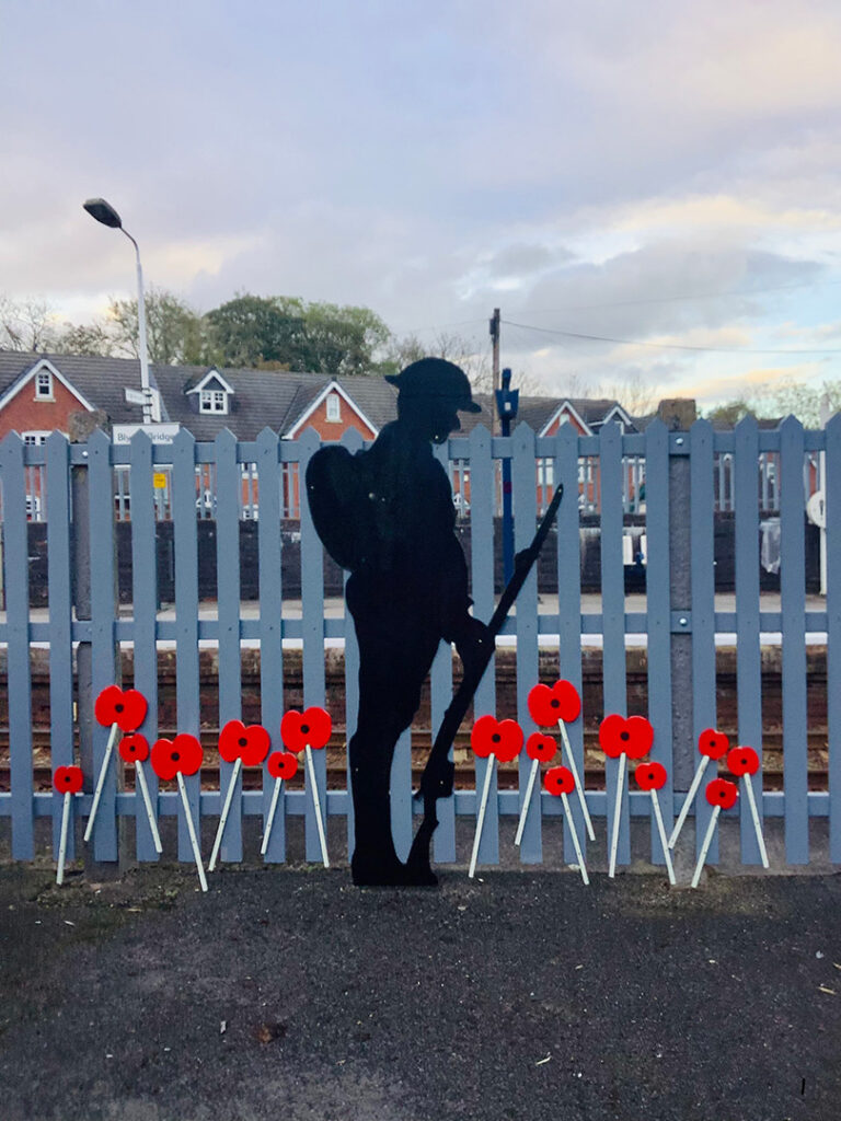 Picture of a silhouette of a WW1 shoulder surrounded by poppies.