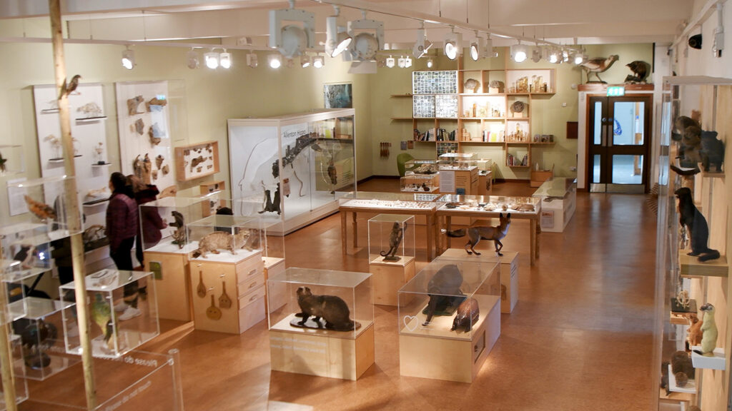 Picture of the inside of Derby Museum & Art Gallery. Various exhibits can be seen around.